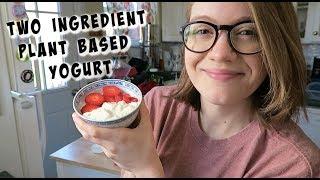 Two Ingredient Plant Based Yogurt - Easy!