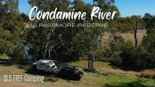 QLD FREE Camping | Condamine River | The Bird-Call Situation is Crazy