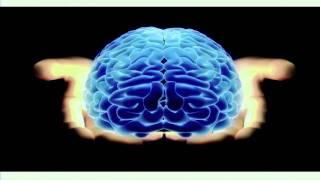 Brad Fortier - The Human Brain on Improvised Theatre