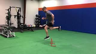 1-leg High Hurdle Hop w/Stick