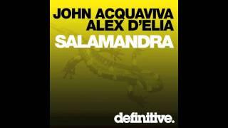 "Salamandra (Original Mix)" - John Acquaviva & Alex D'elia - Definitive Recordings