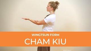 ChamKiu - WingTsun-Übungsvideo (Arme suchen - Brücken bauen)