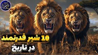 10 شیر قدرتمند در تاریخ که حتی ببر را شکست میدادند