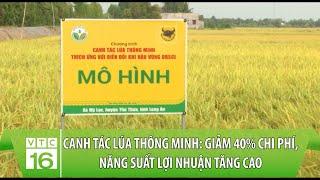 Canh tác lúa thông minh: Giảm 40% chi phí, năng suất lợi nhuận tăng cao | VTC16