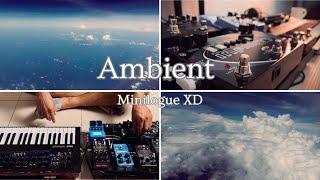 Making Ambient Synth Loops using Korg Minilogue XD | "Sky Dreams" | Ft. Zoom Multisomp 70 CDR +