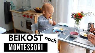 BEIKOST nach MONTESSORI: WIE FÄNGST DU AN? || BABY-LED WEANING ODER MONTESSORI? || BESONDERHEITEN