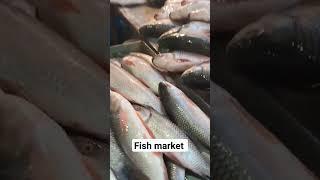 Fish market, varieties fish. #viral #yt #ytshorts #reels #ytviral #ytube #youtube #beautiful #shorts