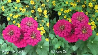 Redmi Note 7 Vs Iphone XS Camera Test Comparison