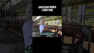 소에 진심인 목장주 수입의 비밀 #알고e즘 #shorts