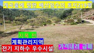 NO.348. 가평 계곡에접한 최고의 토지219평 1억7천 급매 #가평토지 #가평물가토지 #가평200평대토지 #가평부동산