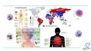 Understanding immune diversity