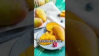 세계에서 가장 인기있는 과일TOP7 #지식 #정보 #ranking #top