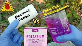 Bleaching Powder Vs. Potassium Permanganate || Easy Science Experiment To Do At Home || Experiment