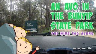 BUNYIP STATE PARK |  Where's these Bloody Rocks though?