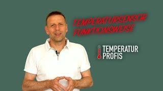Wie funktionieren Temperatursensoren? | Thermoelemente, Pt100, PTC und NTC