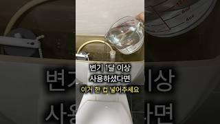 변기 청소 힘들었죠? 이거 한 컵이면 끝나요!