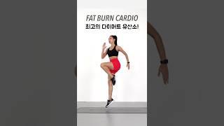 Intense Fat Burning Workout - 미친듯이 살빠지는 다이어트 유산소 운동 #fatloss #weightloss #cardio #workout #유산소 #다이어트