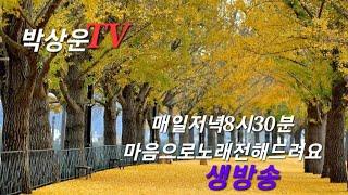 박상운TV라이브2024년 12월 3일  #사랑의시 #해바라기