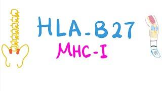 Human Leukocytic Antigen-B27 (HLA-B27)