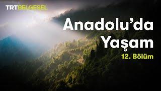 Anadolu'da Yaşam | Karadeniz Bölgesi | TRT Belgesel