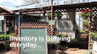 For Sale:  Homestead Nursery in Belle Fourche, SD