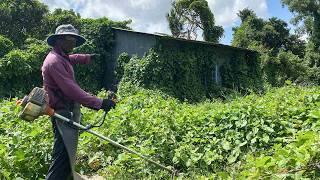 The house has been abandoned for 27 years, like a dark and cold dense forest