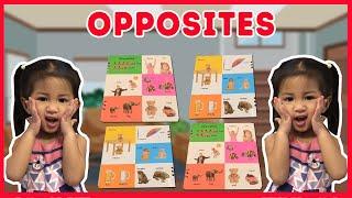 Let's Read Some Books: Opposites | Averys Playhouse