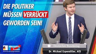 Die Politiker müssen verrückt geworden sein! - Dr. Michael Espendiller - AfD-Fraktion im Bundestag