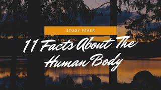 11 Facts About The Human Body || Study Fever