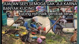 BULAN HAPIT JUALAN KEJEPIT SEPI BANGET PENGEN NANGIS