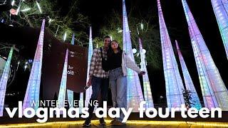 VLOGMAS DAY 14  spend a winter evening with me | LA zoo aglow, gingerbread decorating +stargazing