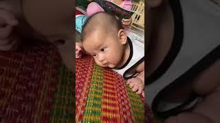 Tiger cute 3month 3week turn over Tự Lật Tự Ngẩng Đầu