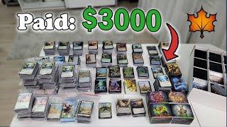 I Spent $3000 On MTG: Bloomburrow Products. Will I Make My Money Back?