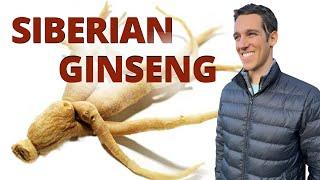 Benefits of Siberian Ginseng aka Eleuthero for Focus, Performance & More