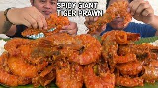 SPICY GIANT TIGER PRAWN | MUKBANG PHILLIPPINES | COLLABORATION W/ @BISAYA STUDIO