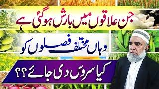 Which services are needed in different crops after rain season || Crop Reformer