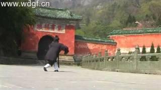 Chinese Wudang Kungfu (Ji Ben Quan) 武当功夫基本拳