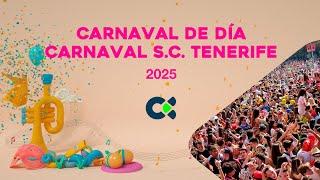 Carnaval de día de S/C de Tenerife | 2025