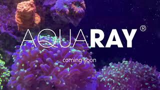 Aquaray The Next Generation Coming Soon!