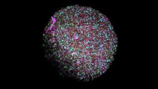 Organoid intelligence: a new biocomputing frontier | Frontiers in Science