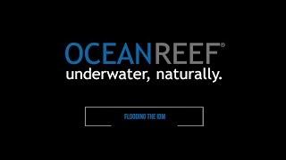 OCEAN REEF - Official IDM Training - The Face Seal and flooding