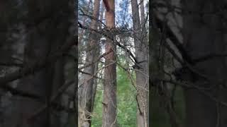 Ах, лето!