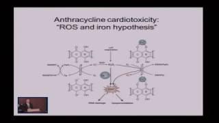 Anthracycline Cardiotoxicity: The Role of Cardio-Oncology in Management