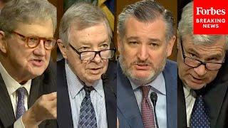 MUST WATCH: Supreme Court's Presidential Immunity Decision Debated In Senate Judiciary Committee