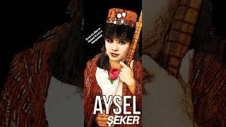 AYSEL ŞEKER  -  AĞARDI SAÇLARIM            ( Ercan EA Remix )