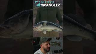 First Diamond Largemouth Bass in Call of the Wild: The Angler! (w/ location)