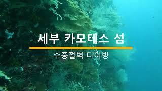 세부 카모테스 수중절벽 다이빙