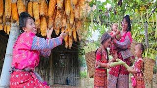 The Life of a 17-Year-Old Single Mother - Harvesting Gourd Fruit, Raising Three Children, Daily Work