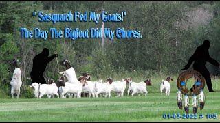 SASQUATCH FED MY GOATS! "The Day Bigfoot Helped With Chores", True Story.