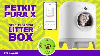 Petkit Pura X Unveiled! | The Litter Box REVOLUTION Every Cat Owner's Raving About! 